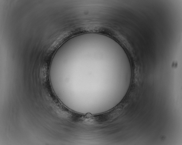 X0000115620113200911241633