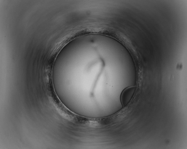 X0000115620114200911241633