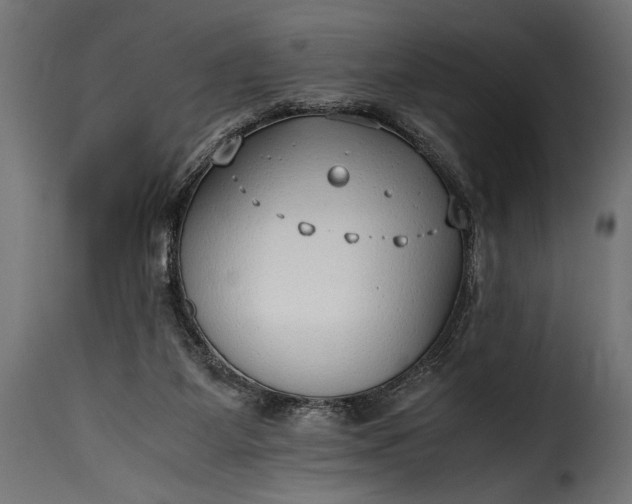 X0000115620115200911241633