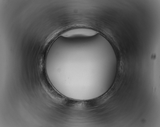 X0000115620116200911241633