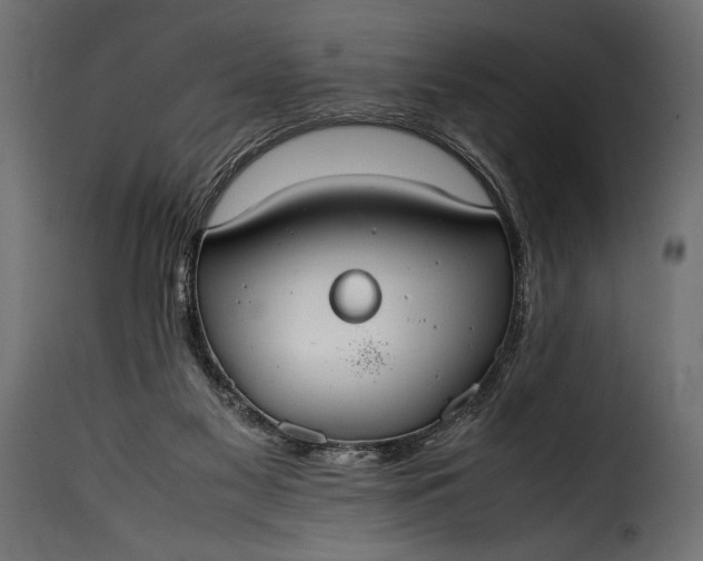 X0000115620117200911241633