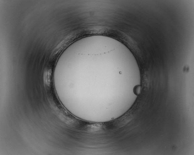 X0000115620118200911241633