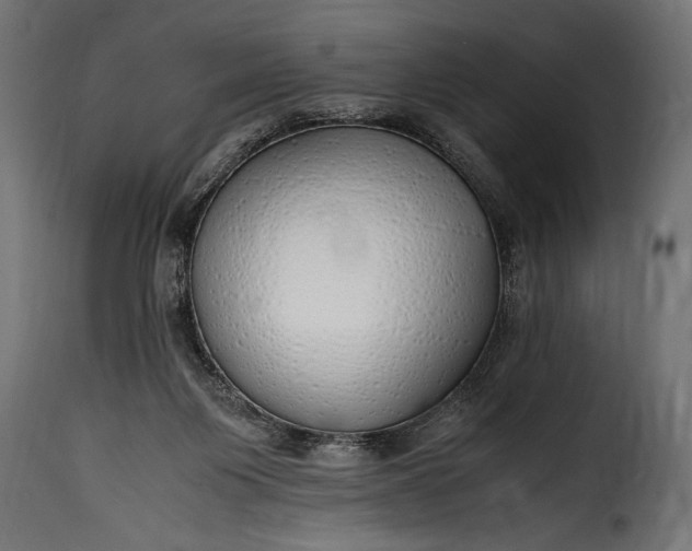 X0000115620119200911241633