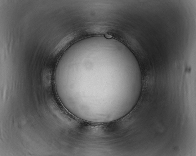 X0000115620120200911241633