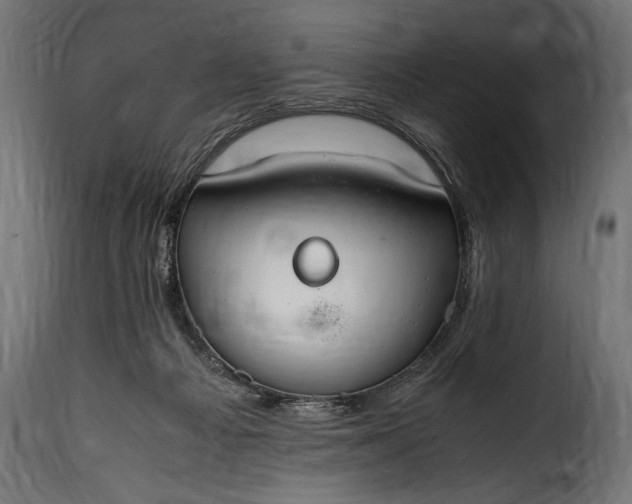 X0000115620121200911241633