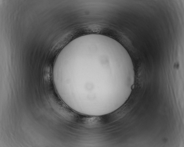 X0000115620122200911241633