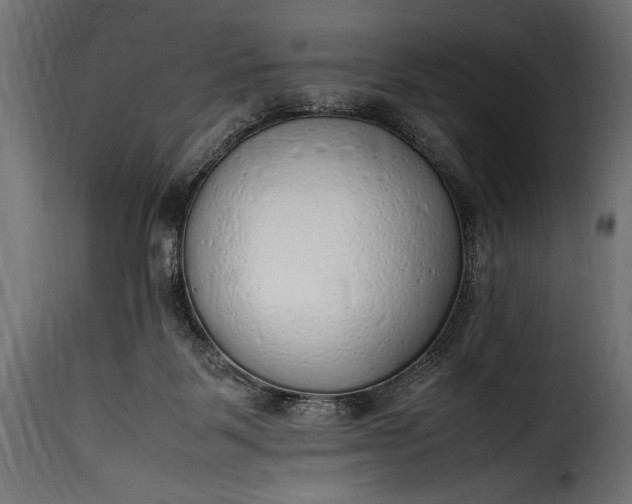 X0000115620123200911241633