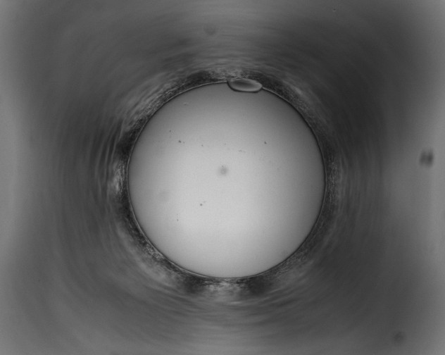 X0000115620125200911241633