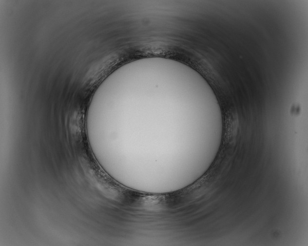 X0000115620126200911241633