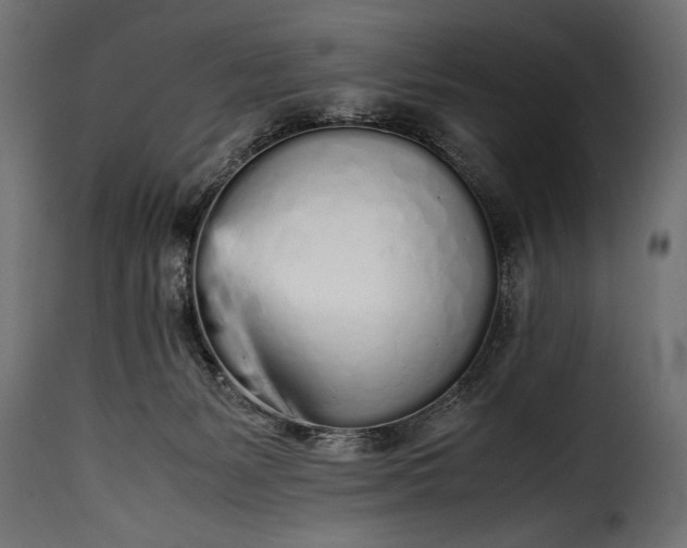 X0000115620127200911241633