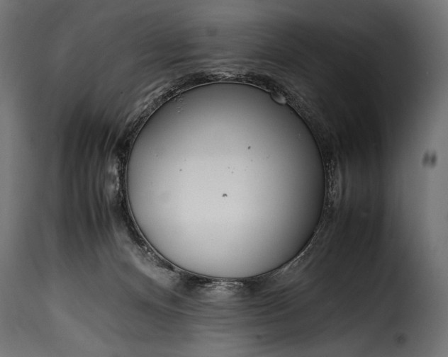 X0000115620128200911241633