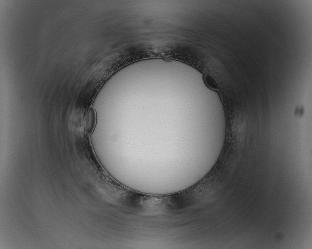 X0000115620129200911241633