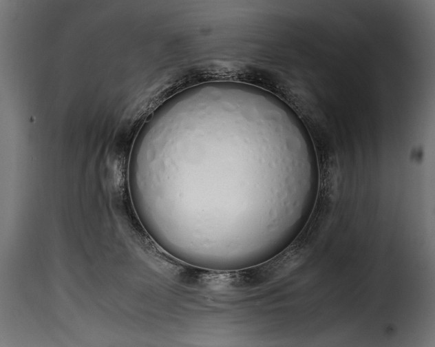 X0000115620131200911241633