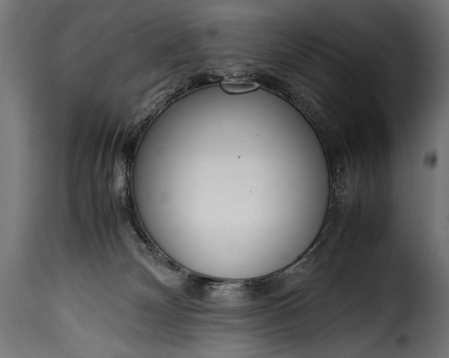 X0000115620132200911241632