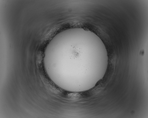 X0000115620133200911241632