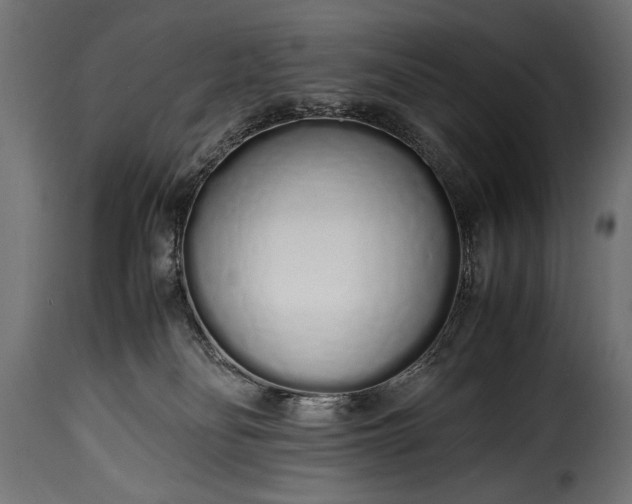 X0000115620134200911241632