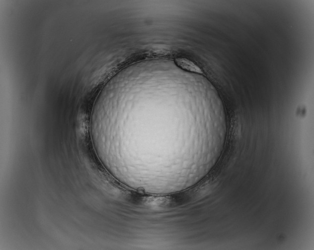 X0000115620135200911241632