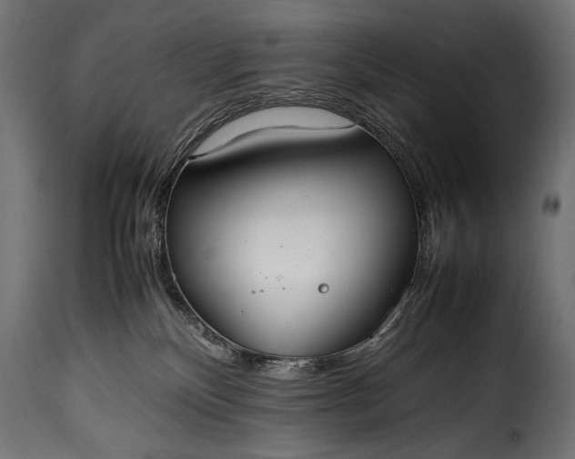 X0000115620136200911241632