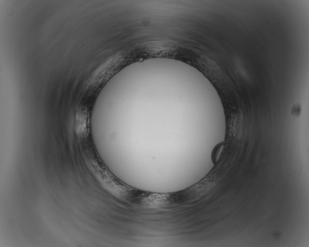 X0000115620138200911241632