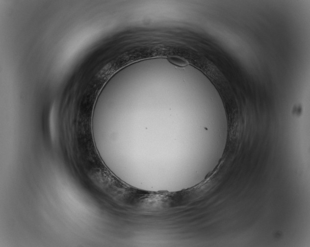 X0000115620140200911241632