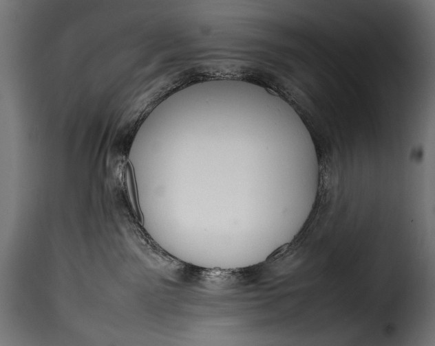 X0000115620141200911241632