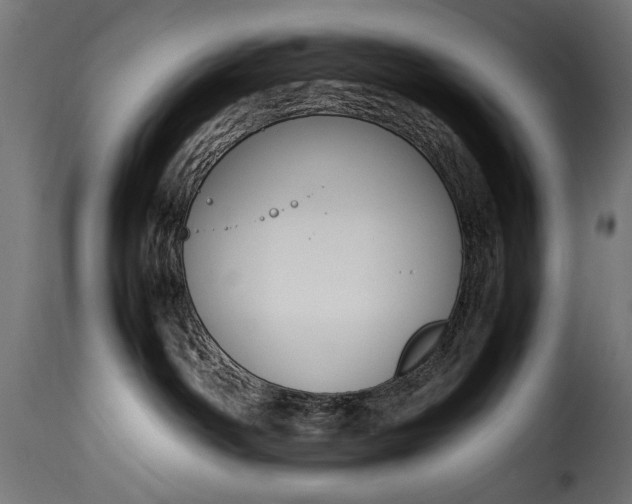 X0000115620142200911241632