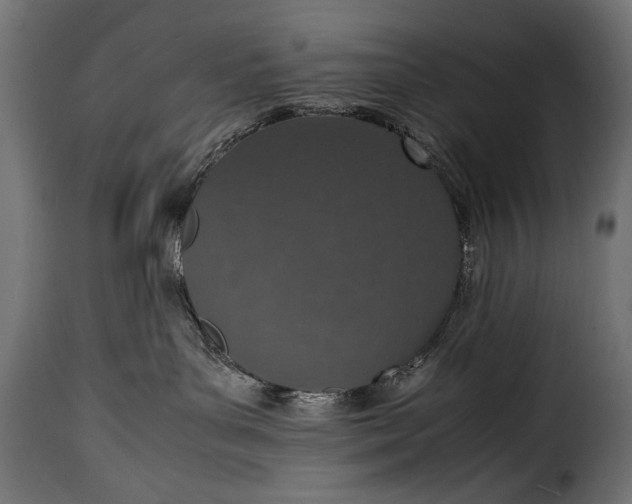 X0000115620143200911241632