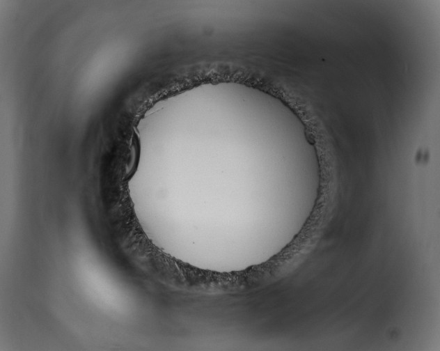 X0000115620144200911241632