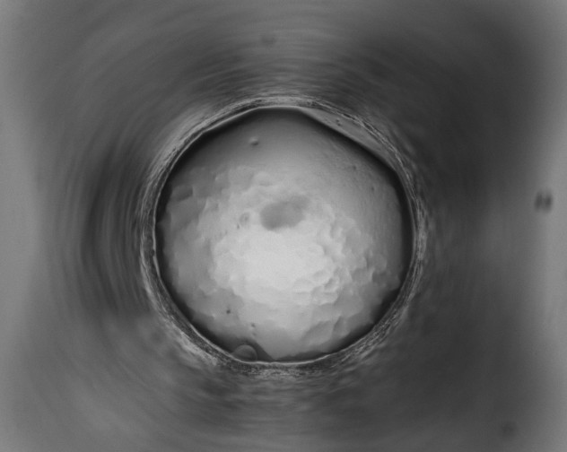 X0000115620145200911241632