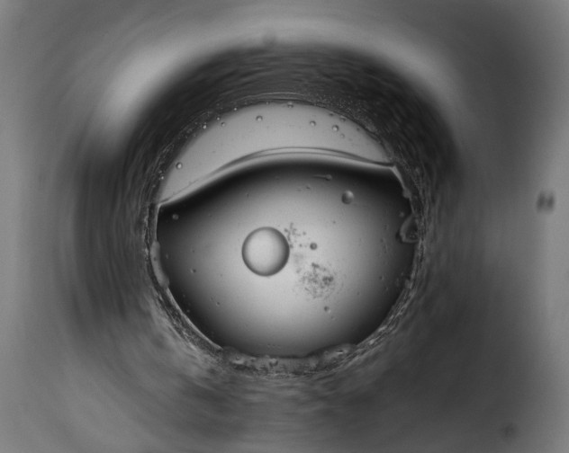 X0000115620146200911241632