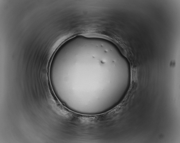 X0000115620147200911241632