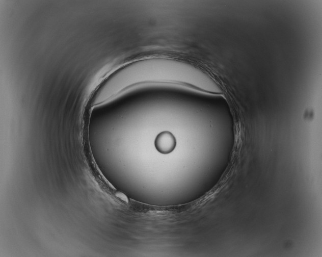 X0000115620150200911241632