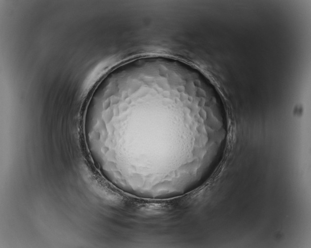 X0000115620151200911241632