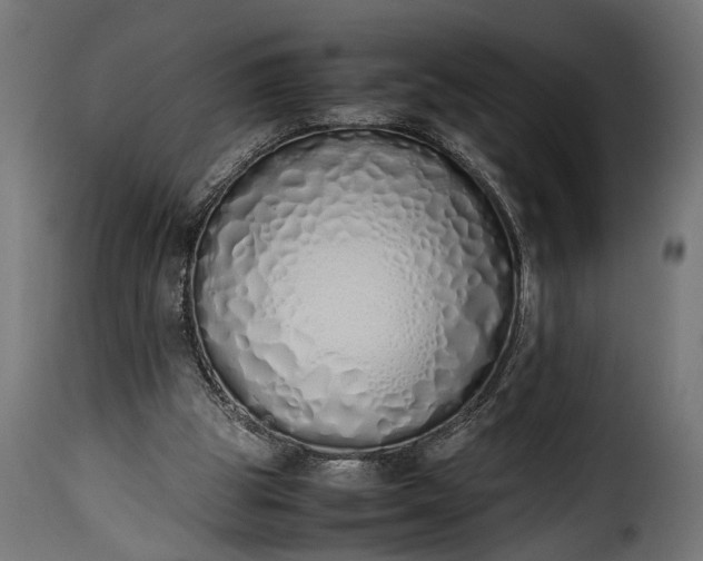 X0000115620153200911241632