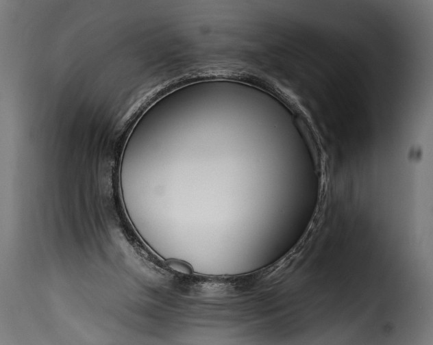 X0000115620154200911241632