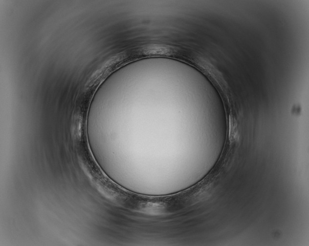 X0000115620157200911241632