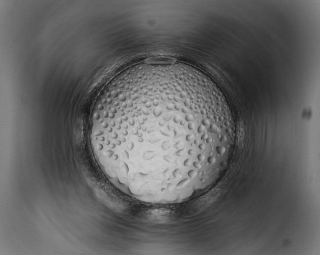 X0000115620158200911241632