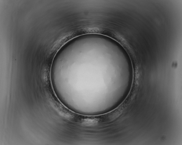 X0000115620161200911241632