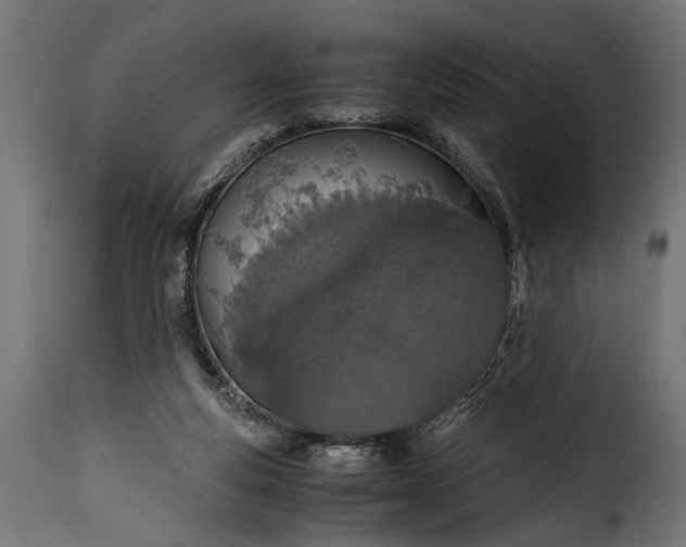 X0000115620163200911241632