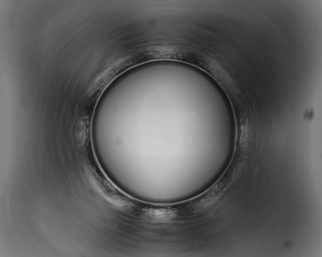 X0000115620165200911241632