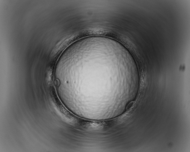 X0000115620166200911241632