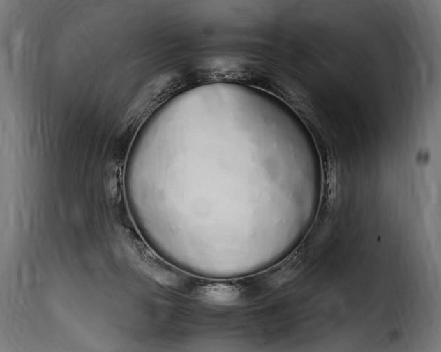 X0000115620169200911241632