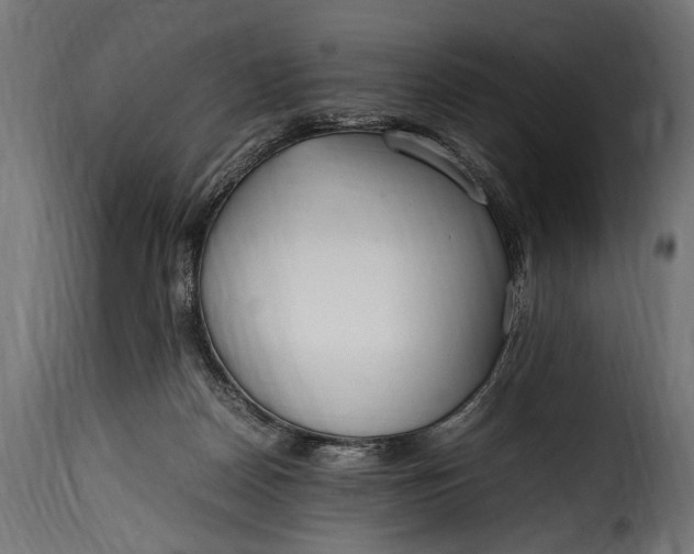 X0000115620170200911241632