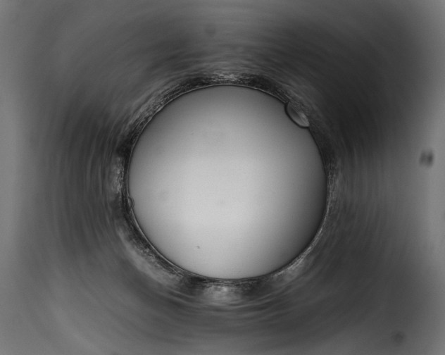 X0000115620174200911241632