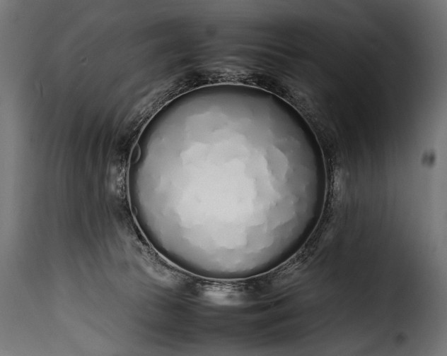 X0000115620177200911241632