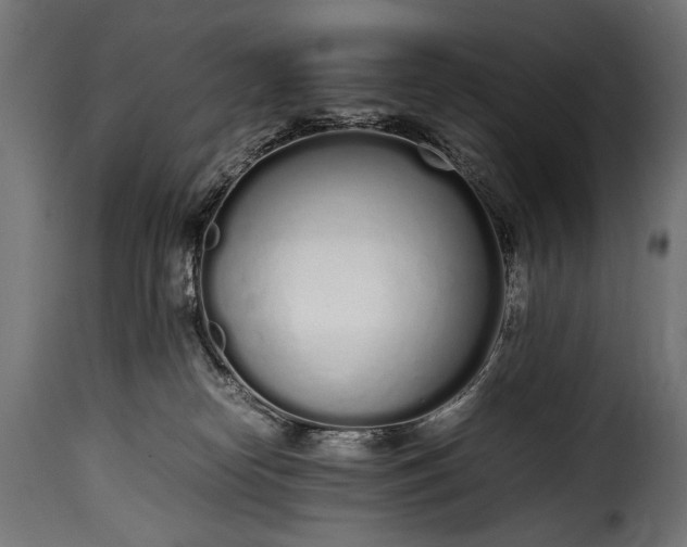 X0000115620182200911241632