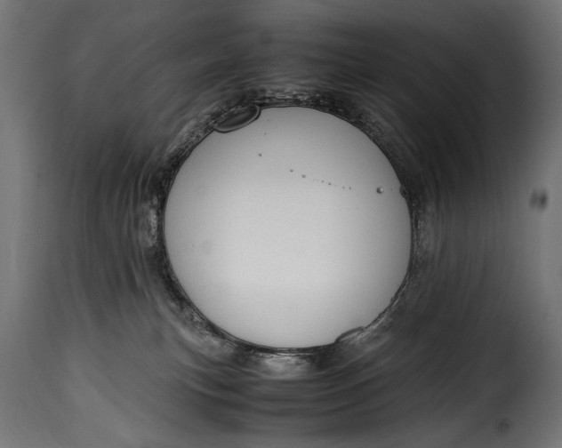 X0000115620183200911241632