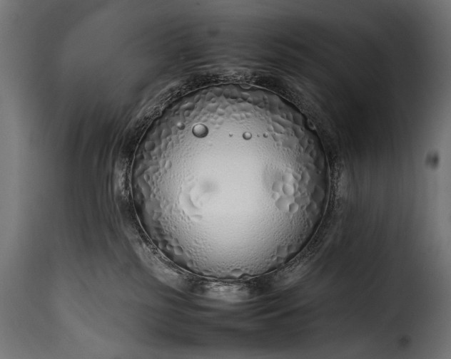 X0000115620185200911241632