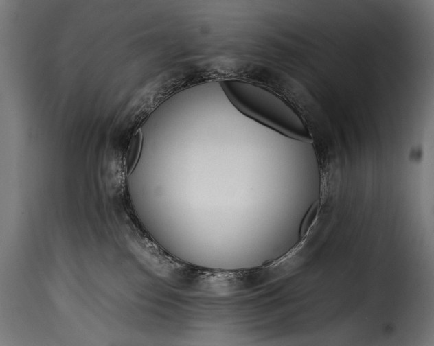 X0000115620186200911241632