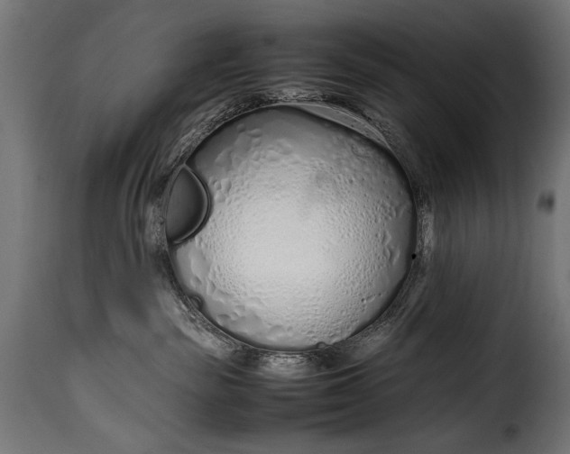 X0000115620189200911241632